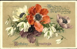 Birthday Greetings Postcard Postcard