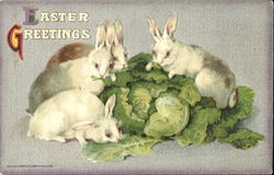 Easter Greetings Postcard