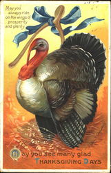 May You See Many Glad Thanksgiving Days Postcard