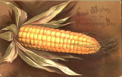 Good Wishes For Thanksgiving Day Postcard