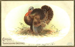 Cordial Thanksgiving Greetings Postcard