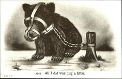 All I Did Was Hug A Little Bears Postcard Postcard