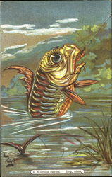 Fish on a Hook, Microbe Series Postcard Postcard