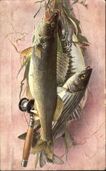 Fishing Rod with Catch Postcard