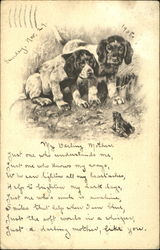 Bird Dogs Conversing with Toad Postcard