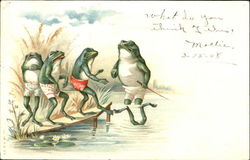 Frogs Swimming Lesson Postcard