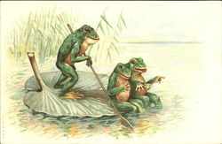 Frogs on a Lilly Pad Postcard Postcard