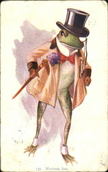 Matinee Idol Frogs Postcard Postcard