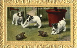 Doubtful Visitors Frogs Postcard Postcard