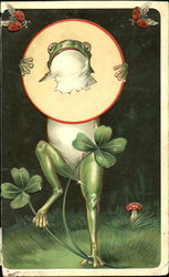 Frog and Clovers Postcard