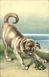 Puppy and Frog Postcard