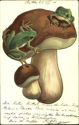 Frogs on Mushrooms Postcard