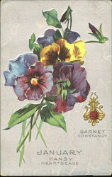 January Pansy Heartsease Postcard