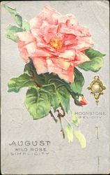 August Wild Rose Simplicity Astrology & Zodiac Postcard Postcard