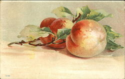 Branch with two red-golden apples Fruit Postcard Postcard