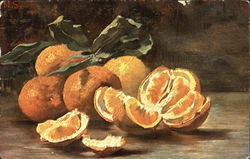 Orange Slices Postcard