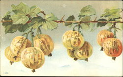 Fruits and Vines Postcard