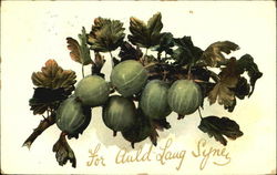 For Auld Lang Syne Fruit Postcard Postcard