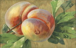 Two peaches on the branch Postcard