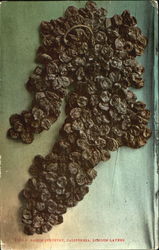 Raisin Industry Postcard