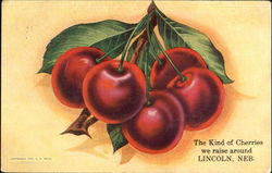 The Kind Of Cherries We Raise Around Lincoln Nebraska Postcard Postcard