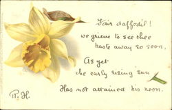 Fair Daffadil! Flowers Postcard Postcard