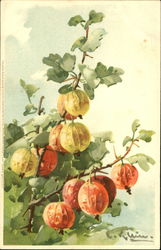 Tree with golden and red apples C. Klein Postcard Postcard