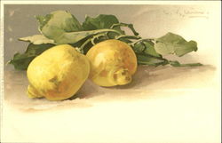 lemon branch C. Klein Postcard Postcard