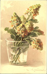 Flowers C. Klein Postcard Postcard