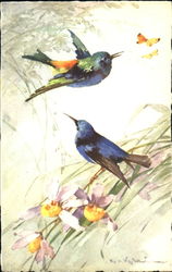 Fancy Blue Birds C. Klein Postcard Postcard