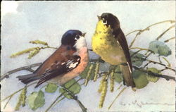 Two Birds Painting C. Klein Postcard Postcard