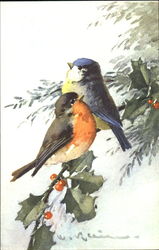 Two birds on a branch C. Klein Postcard Postcard