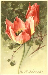 Lovely Flowers C. Klein Postcard Postcard