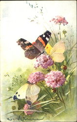 Butterflies on flowers C. Klein Postcard Postcard