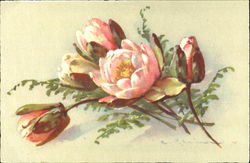 flowers with branches C. Klein Postcard Postcard