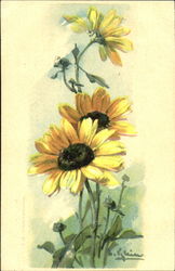 yellow flowers C. Klein Postcard Postcard