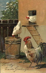 Rooster with Hens Postcard