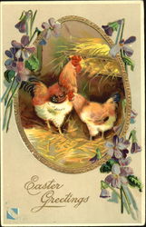 Two Nesting Hens Postcard