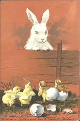 Baby chicks hatching With Bunnies Postcard Postcard