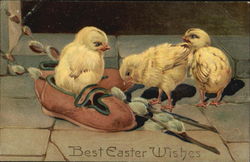 Easter chicks and shoes With Chicks Postcard Postcard