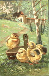 Four Curious Chicks With Chicks Postcard Postcard