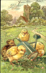 Four chicks in the flower garden Postcard