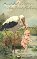 A stork carrying a baby Postcard