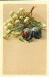 Grapes and Plums Fruit Postcard Postcard