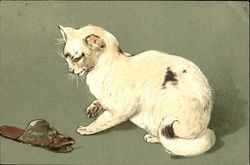 White Cat and the Slipper Cats Postcard Postcard