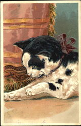 cat with red bow Postcard