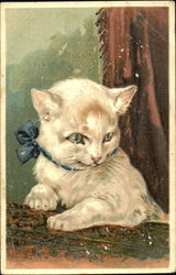 White Kitten with a bow Postcard