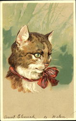 A cat with a red ribbon around his neck Postcard