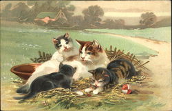 Four kittens resting Cats Postcard Postcard