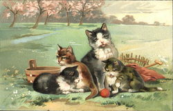 Cat Family at Play Postcard